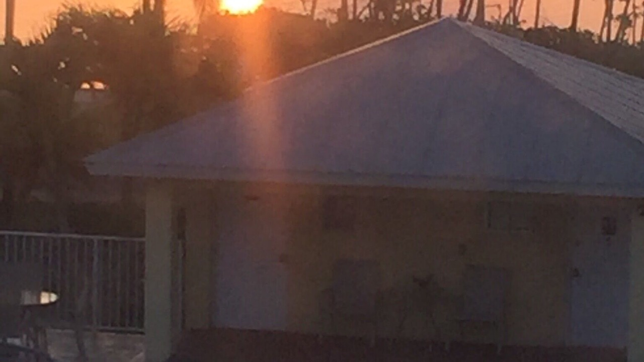 Photo of Outdoor in Everglades City
