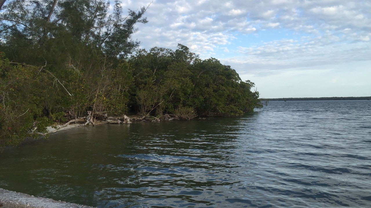 Photo of Others in Everglades City
