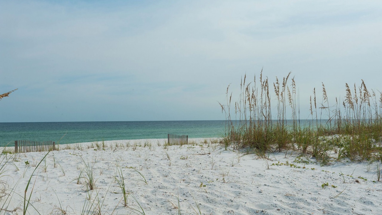 Photo of Others in Navarre Beach