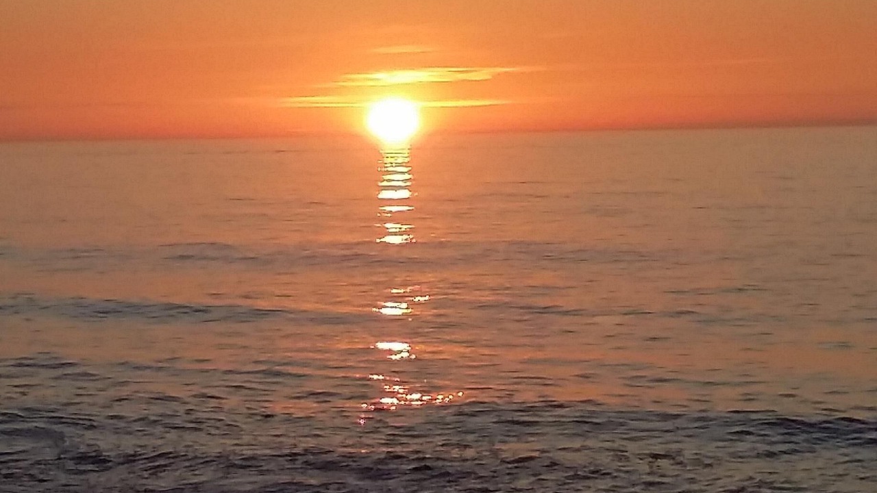 Photo of Others in Sand Key