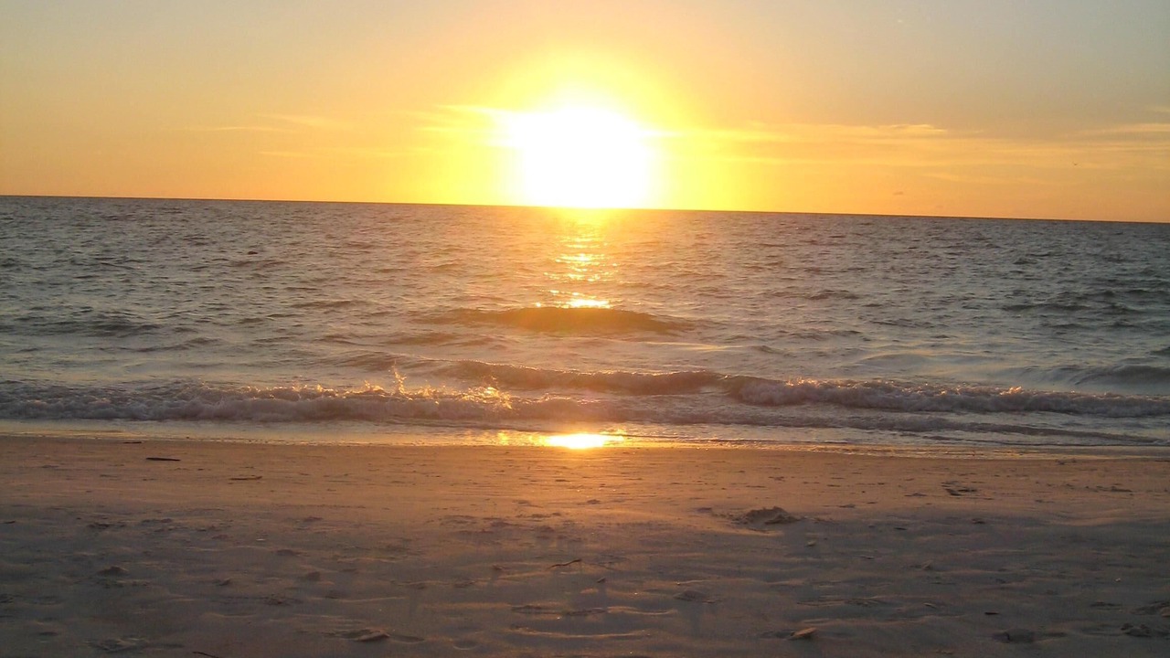 Photo of Others in Sand Key