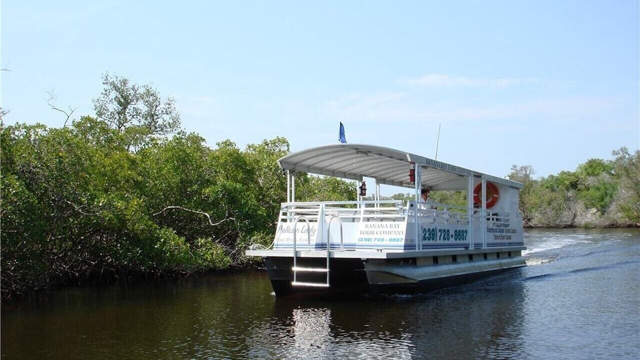Photo of Others in Estero