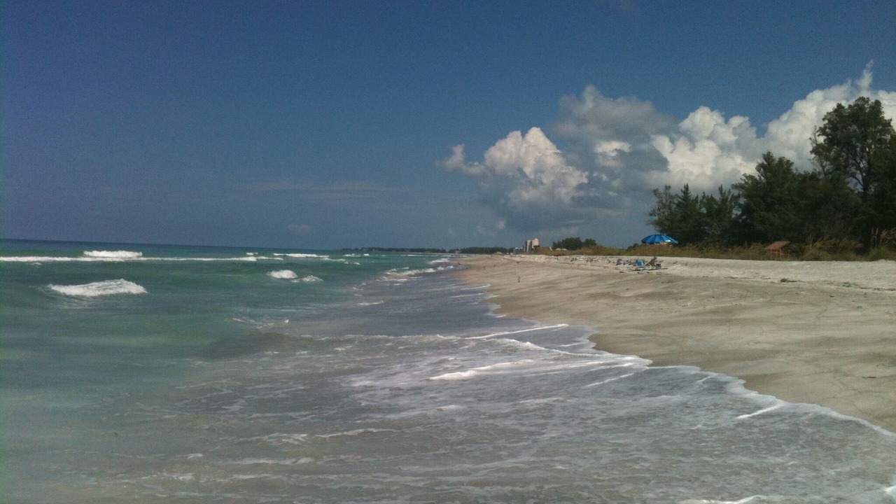 Photo of Others in Plantation