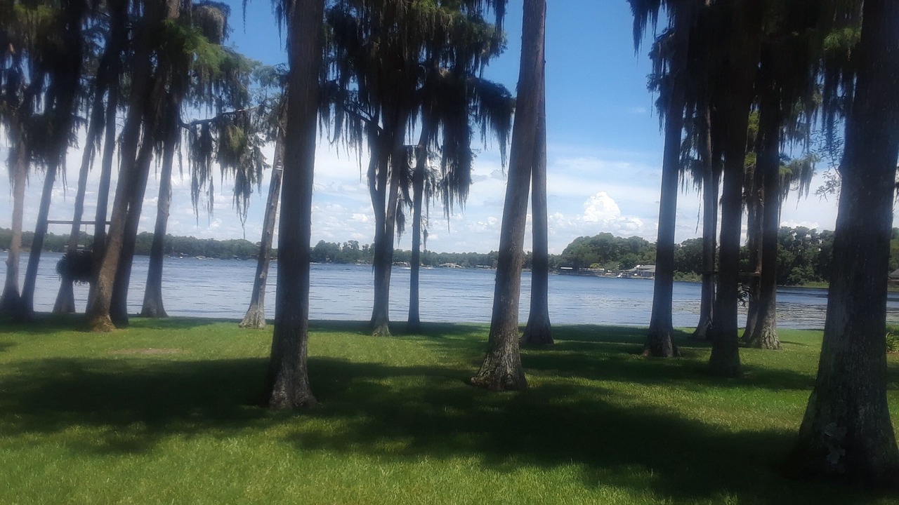 Photo of Outdoor in Moon Lake Estates