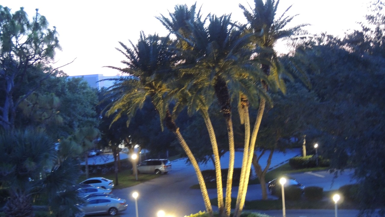 Photo of Others in Plantation