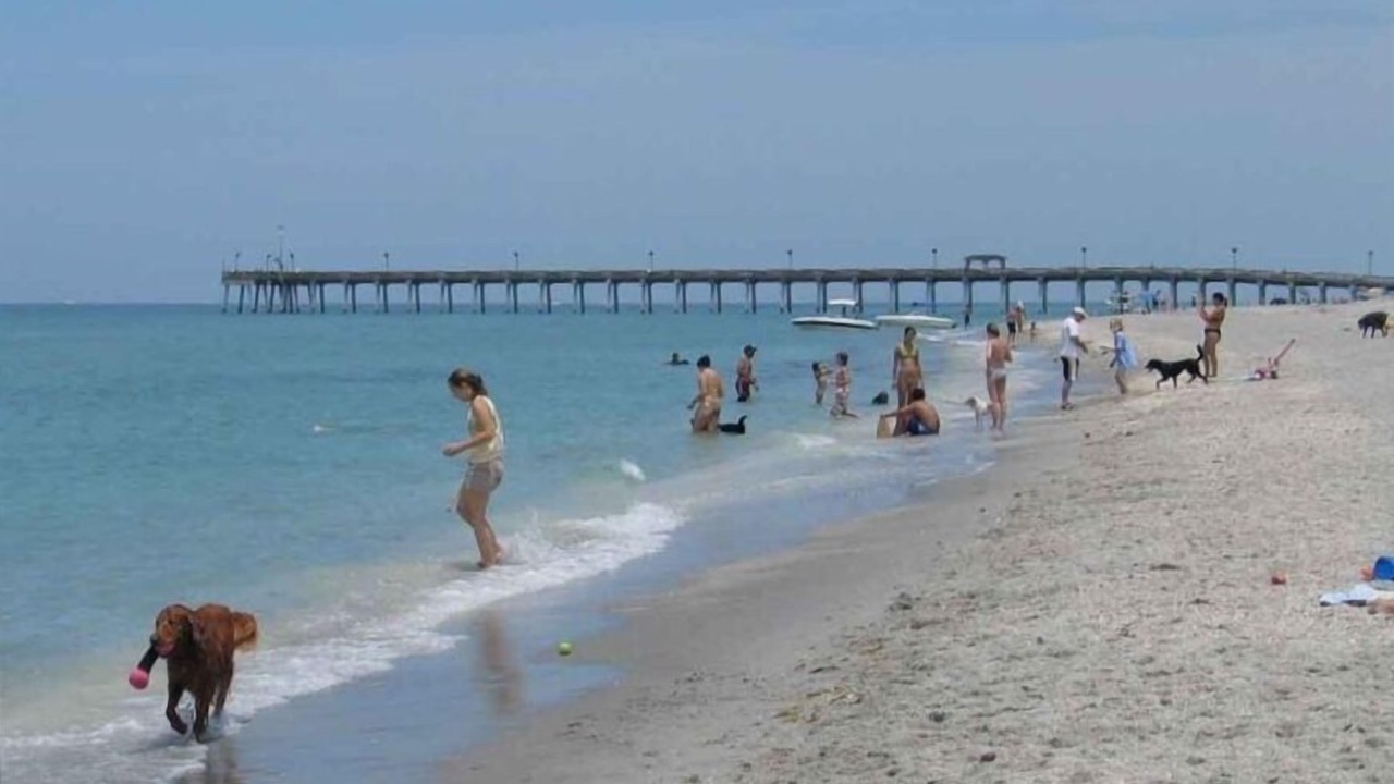Photo of Others in Plantation