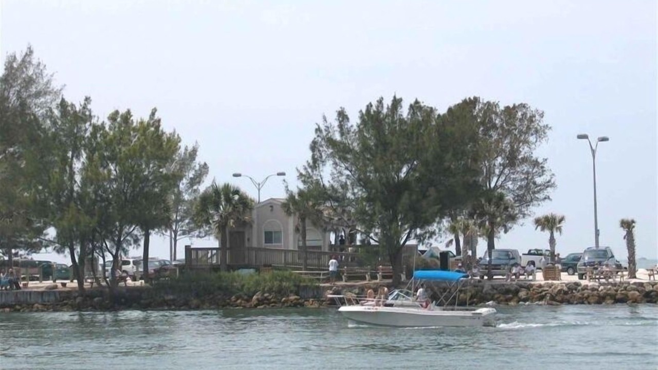Photo of Others in Plantation