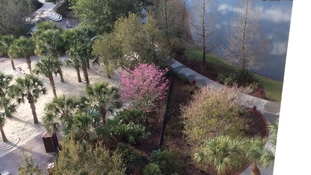 Photo of Outdoor in Orange Lake