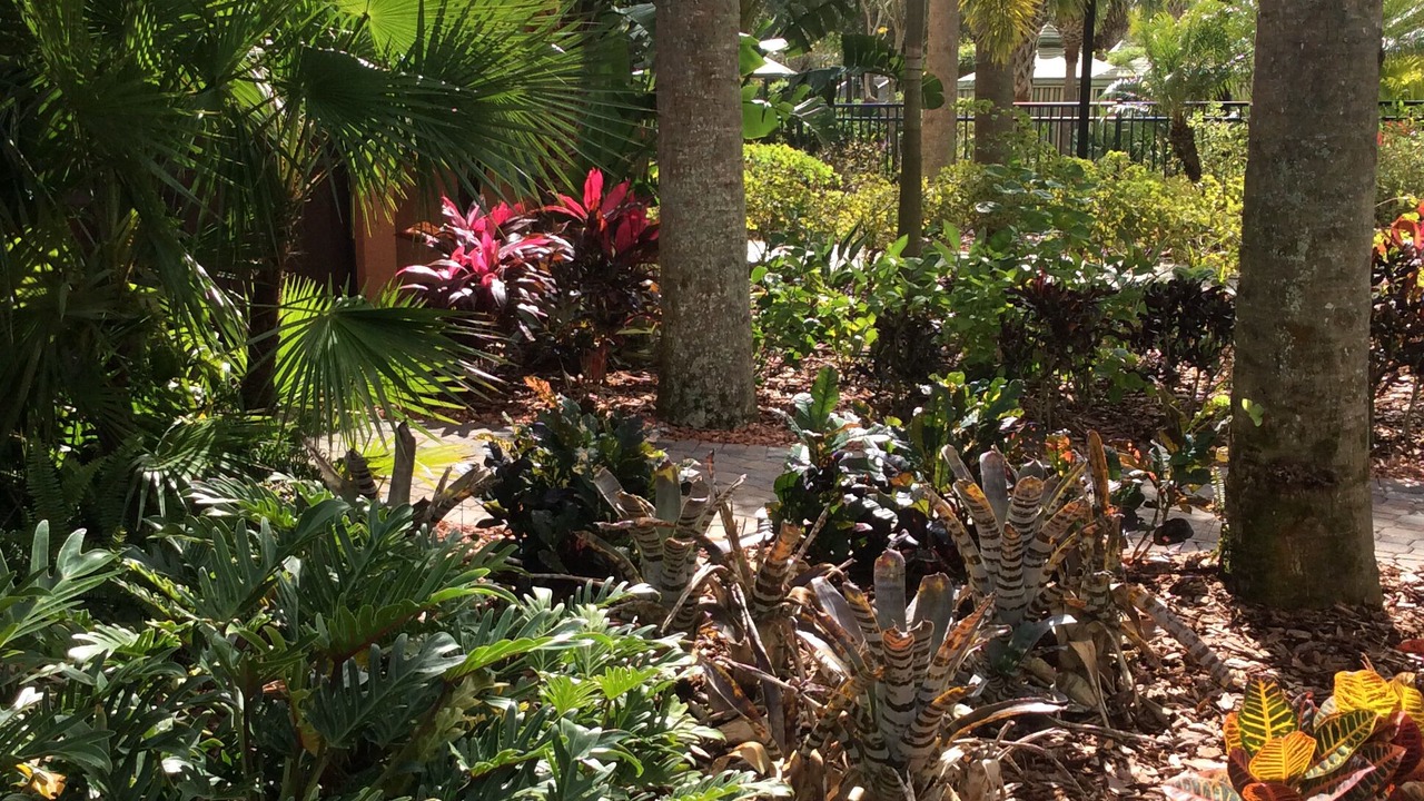 Photo of Outdoor in Orange Lake