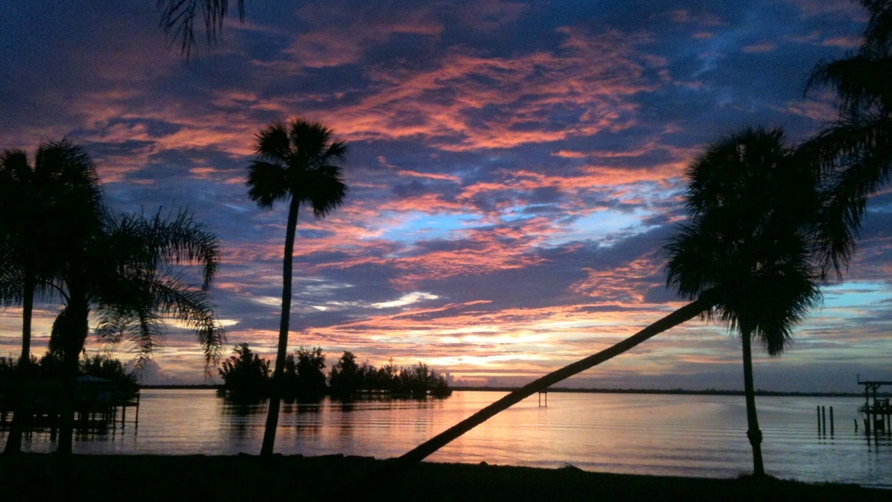 Photo of Others in Sebastian