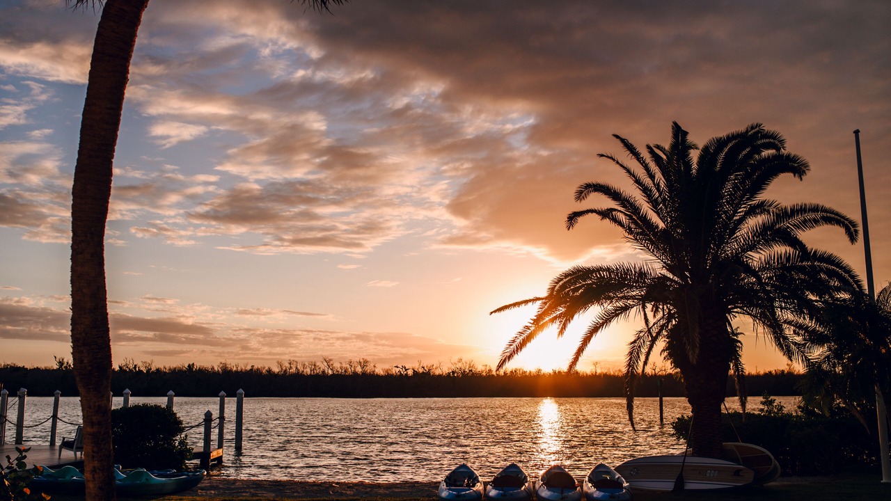 Photo of Others in Captiva