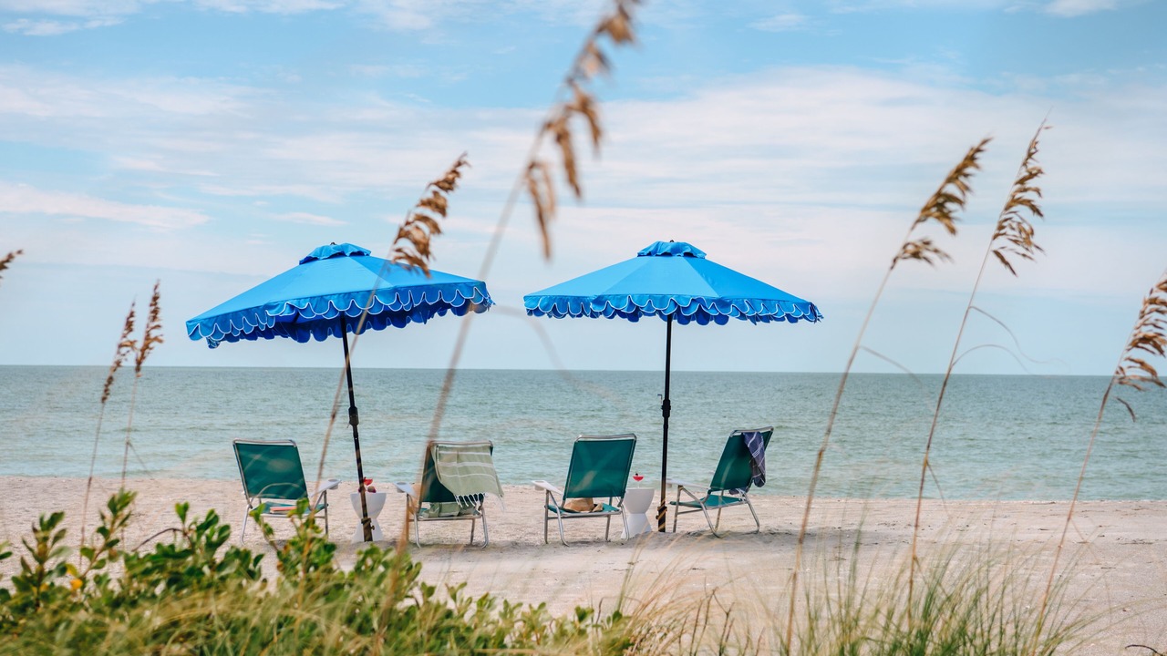 Photo of Others in Captiva