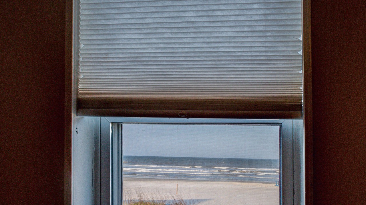 Photo of Others in Boardwalk