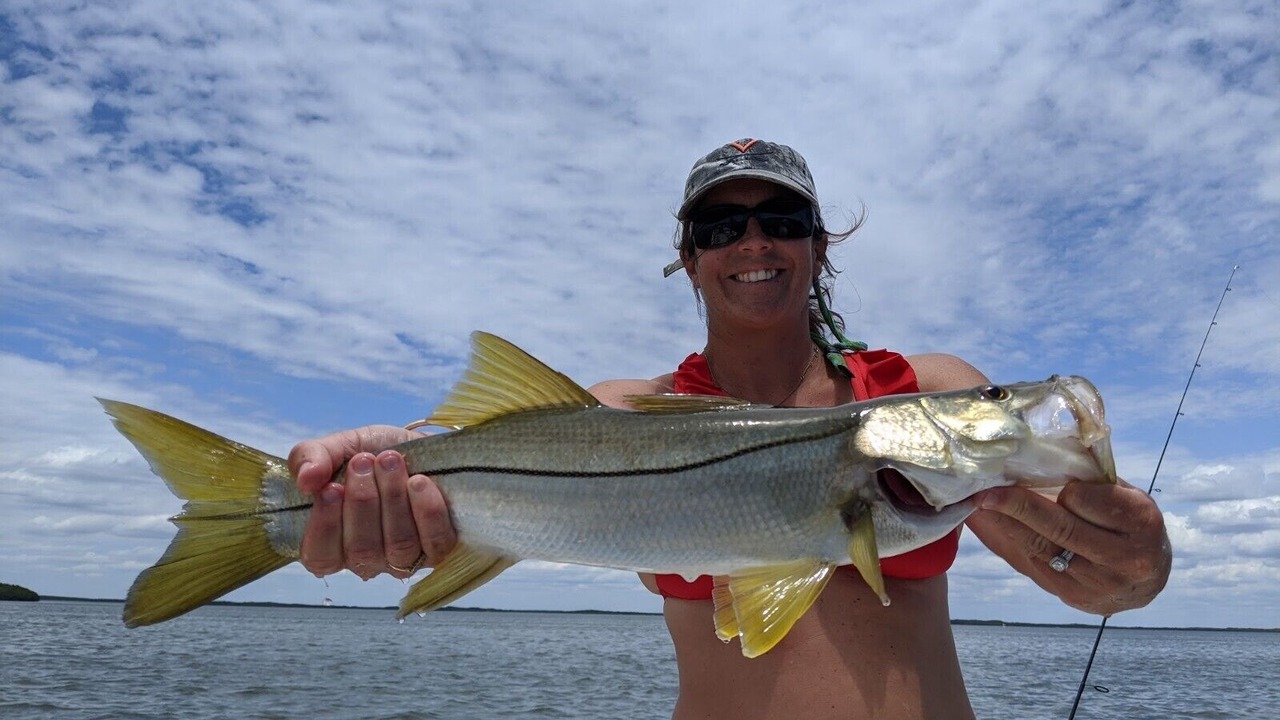 Photo of Others in Crystal River