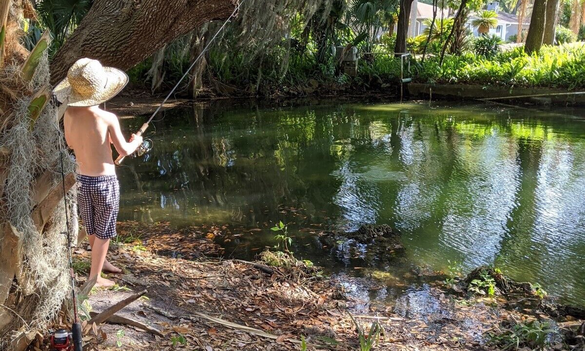Photo of Outdoor in Crystal River