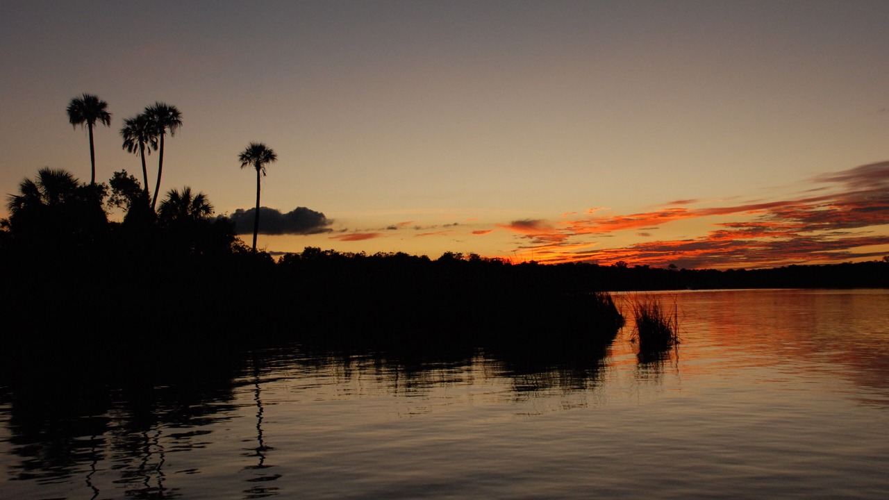 Photo of Others in Crystal River