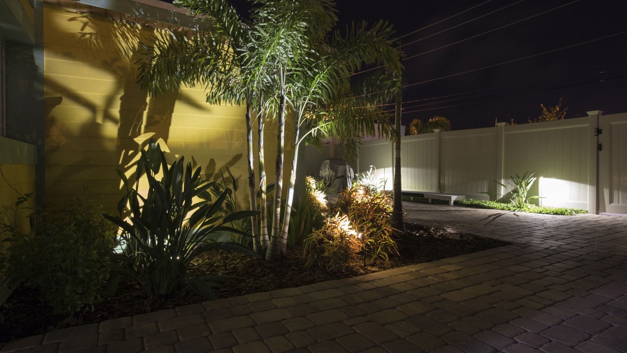 Photo of Outdoor in New Smyrna Beach