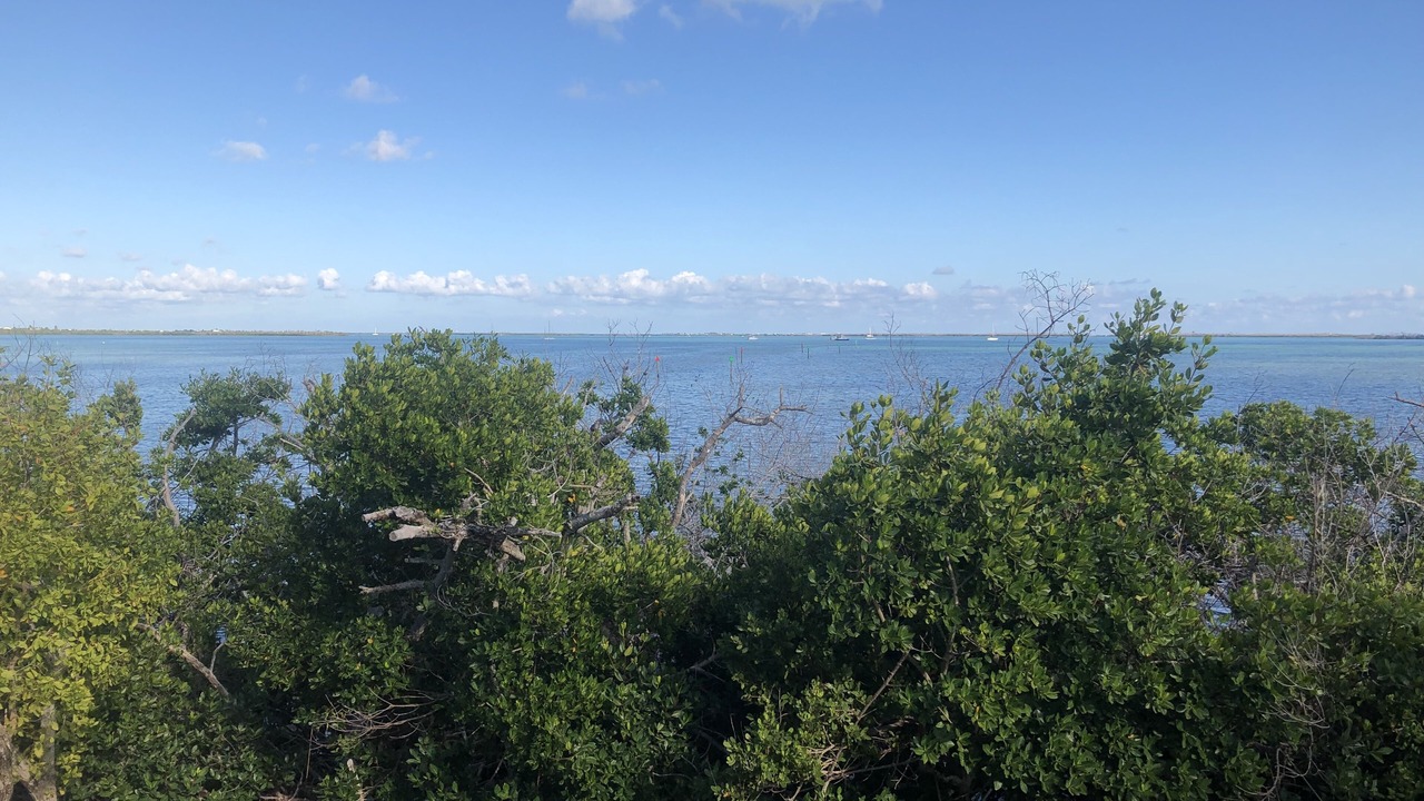 Photo of Others in Breezeswept Beach Estates
