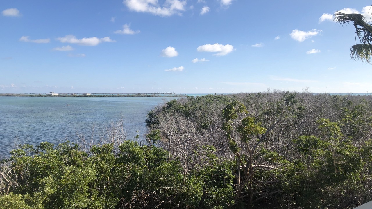 Photo of Outdoor in Breezeswept Beach Estates