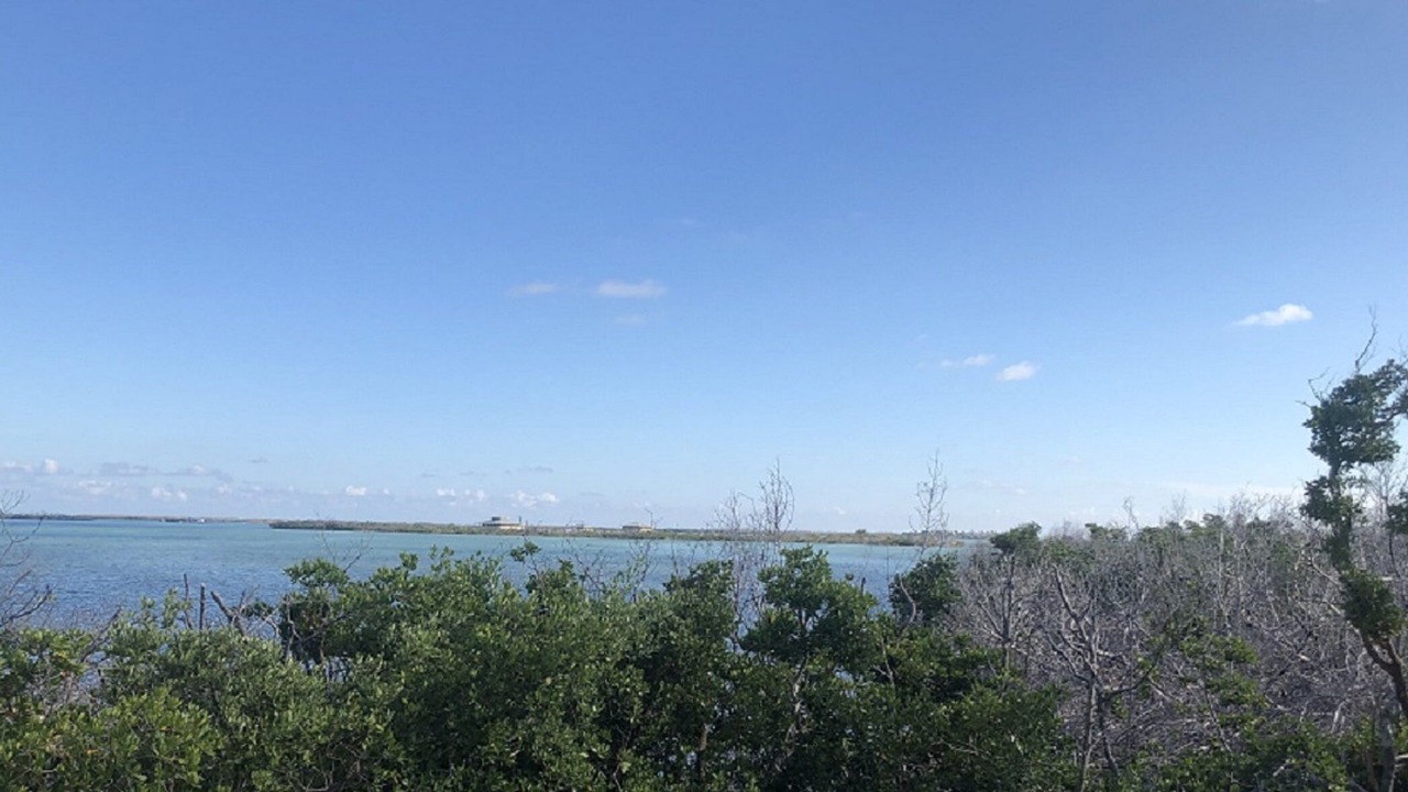 Photo of Others in Breezeswept Beach Estates