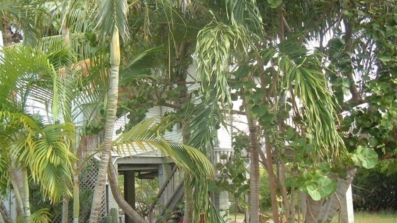 Photo of Others in Breezeswept Beach Estates