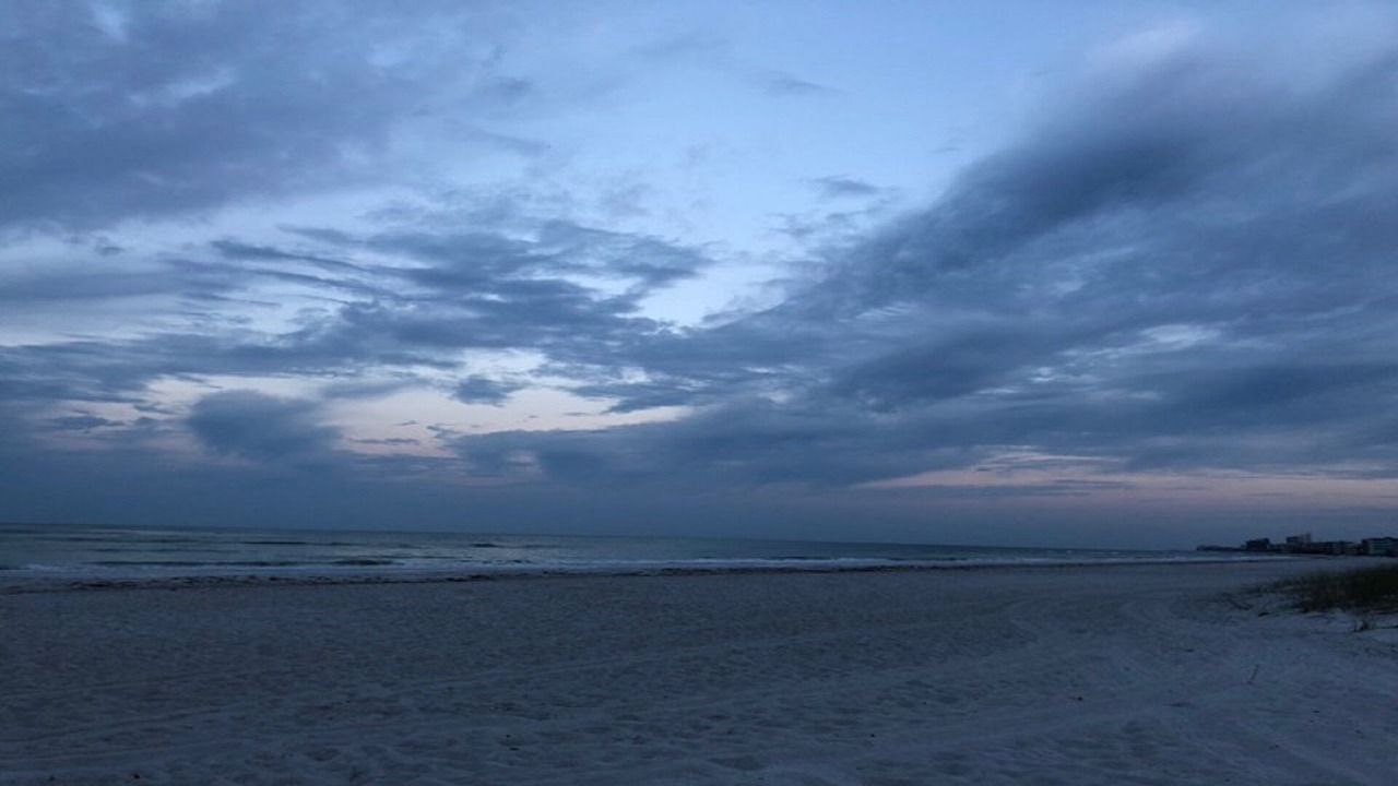 Photo of Others in Madeira Beach