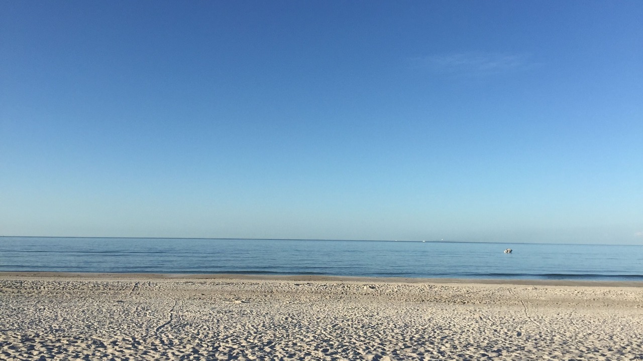 Photo of Others in Madeira Beach