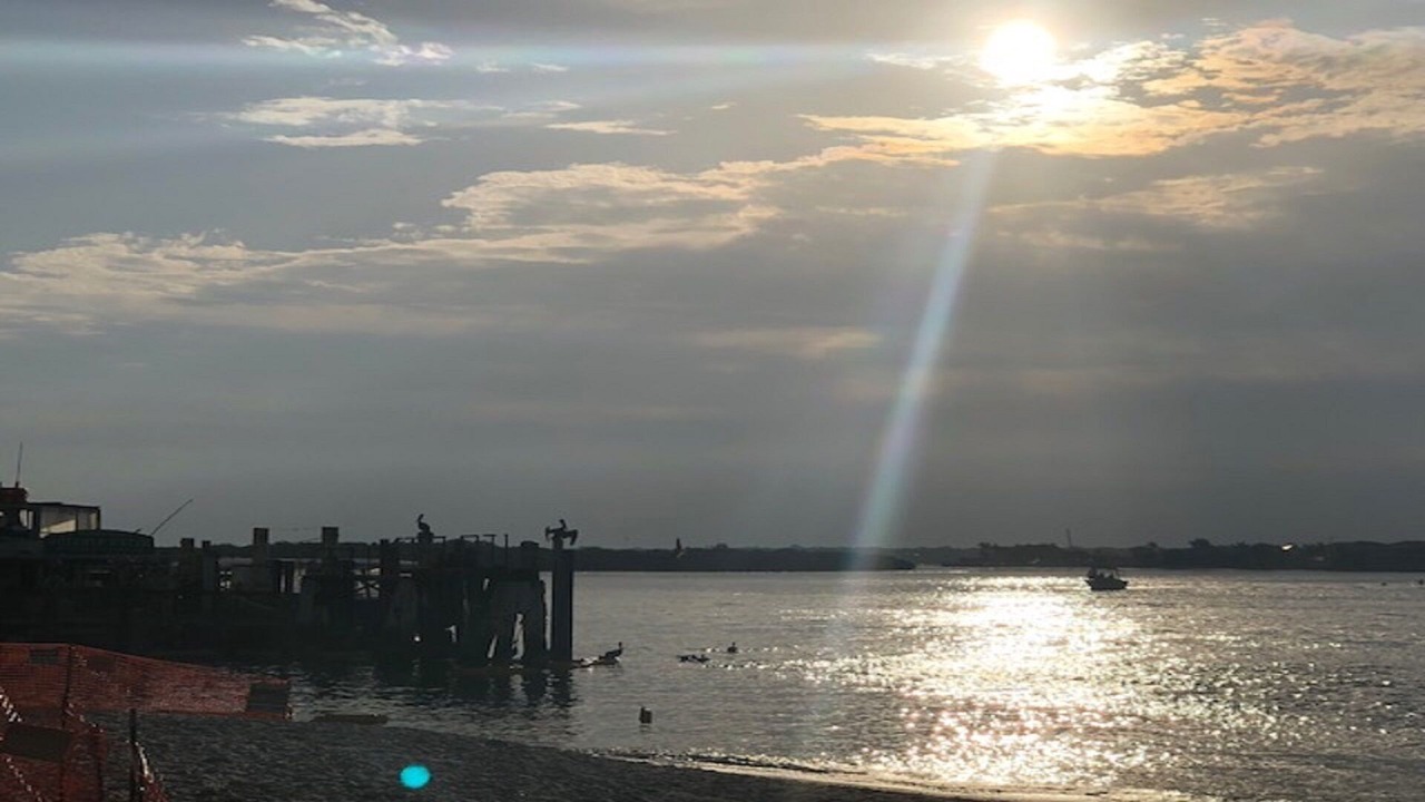 Photo of Others in Madeira Beach