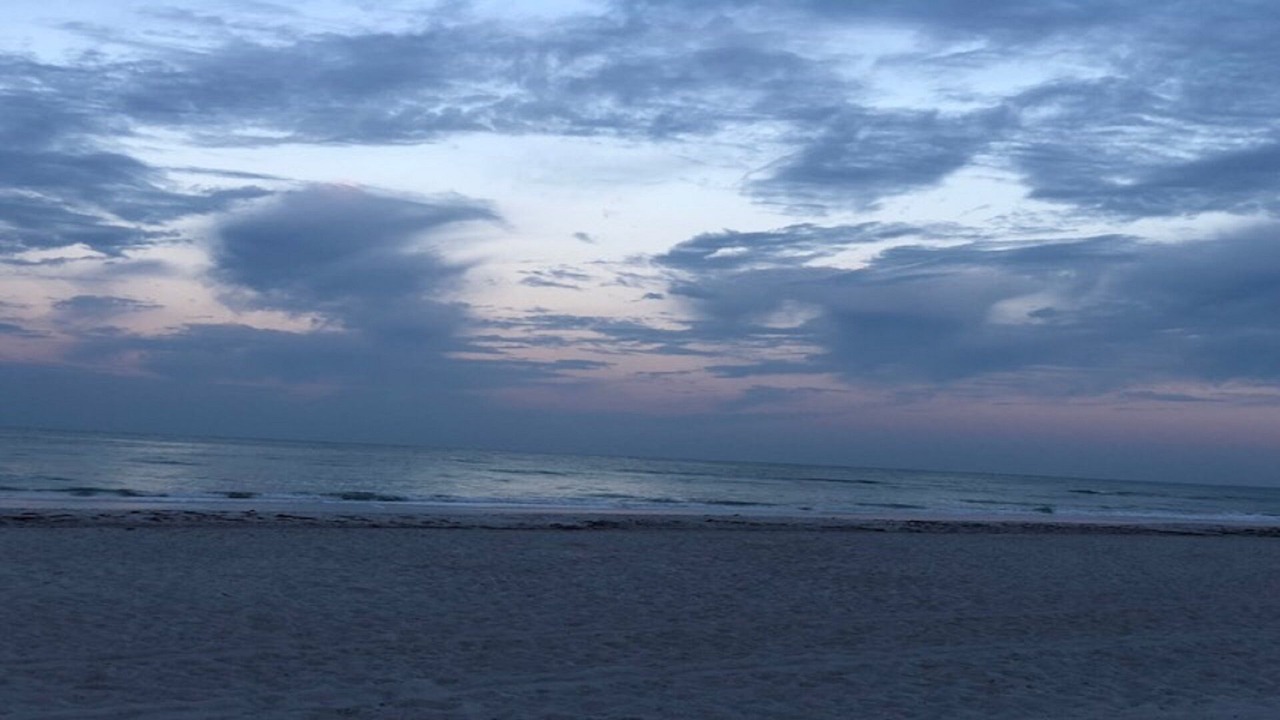 Photo of Others in Madeira Beach