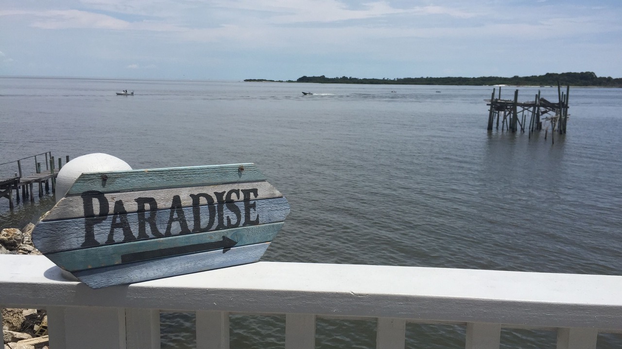 Photo of Others in Cedar Key