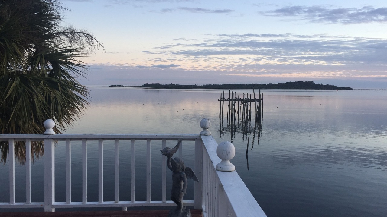 Photo of Others in Cedar Key