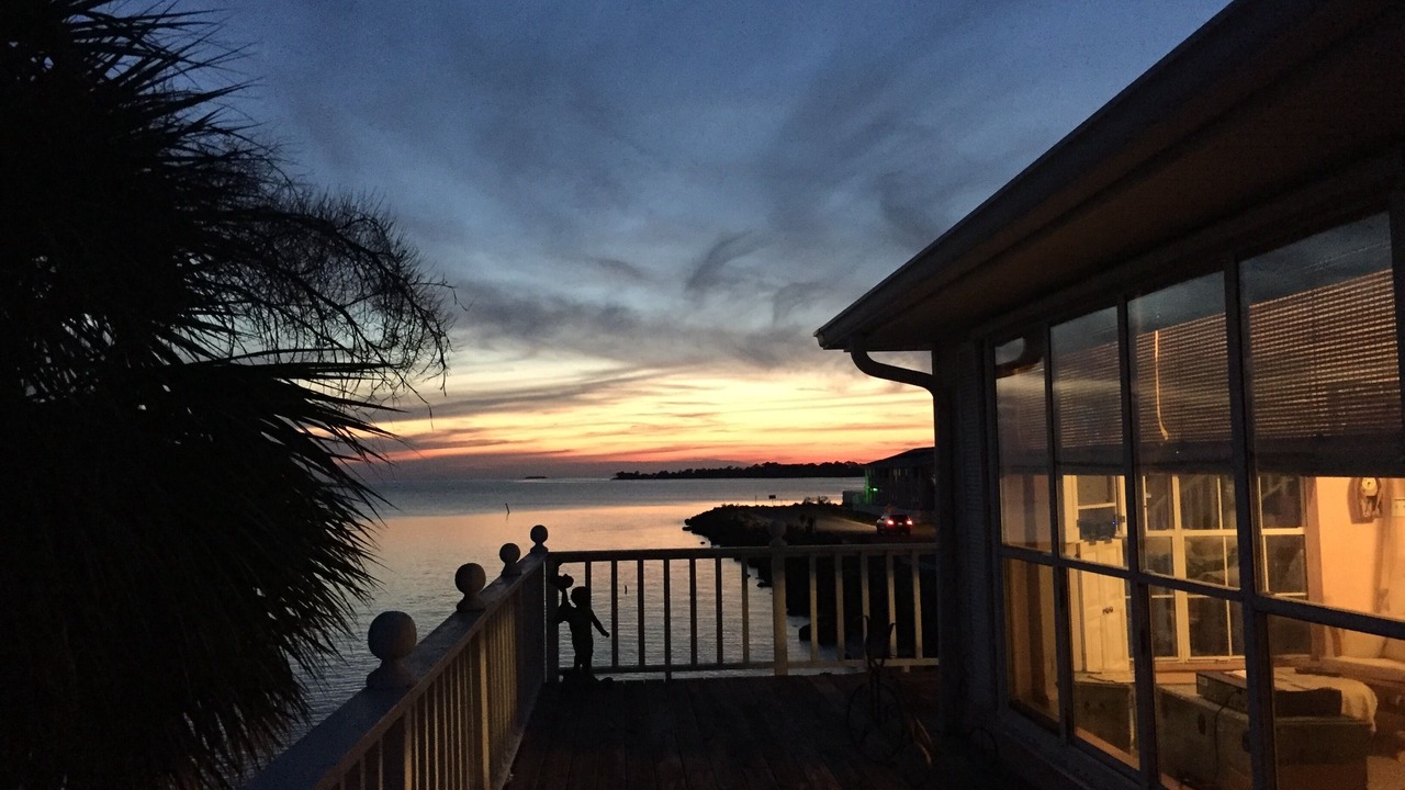 Photo of Others in Cedar Key
