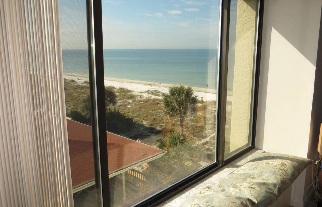 Photo of Others in Indian Rocks Beach