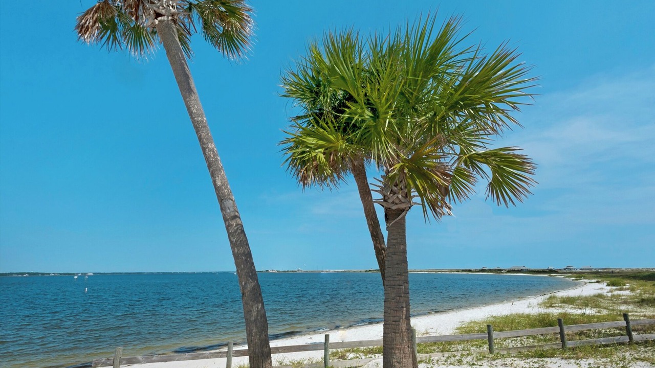 Photo of Others in Navarre Beach