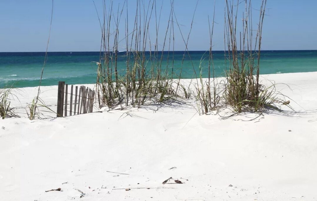 Photo of Others in Navarre Beach