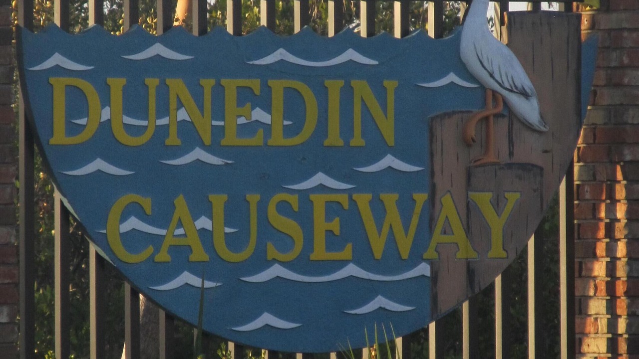 Photo of Others in Dunedin