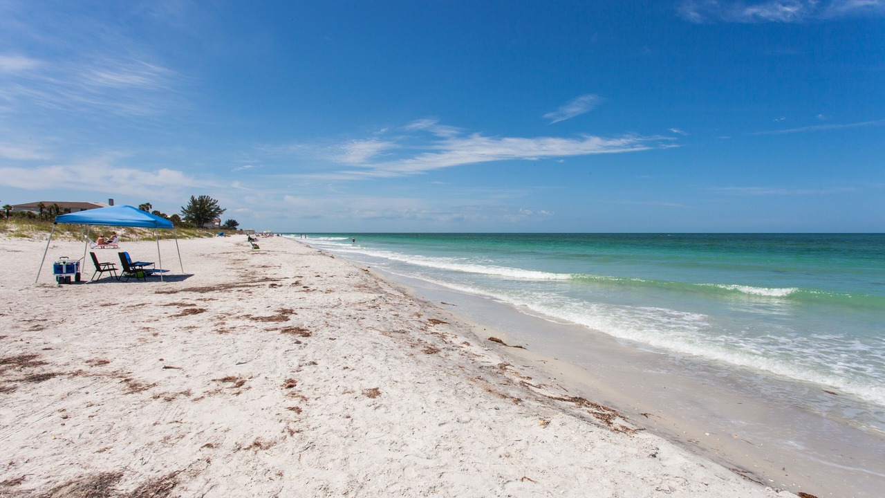 Photo of Others in Seminole
