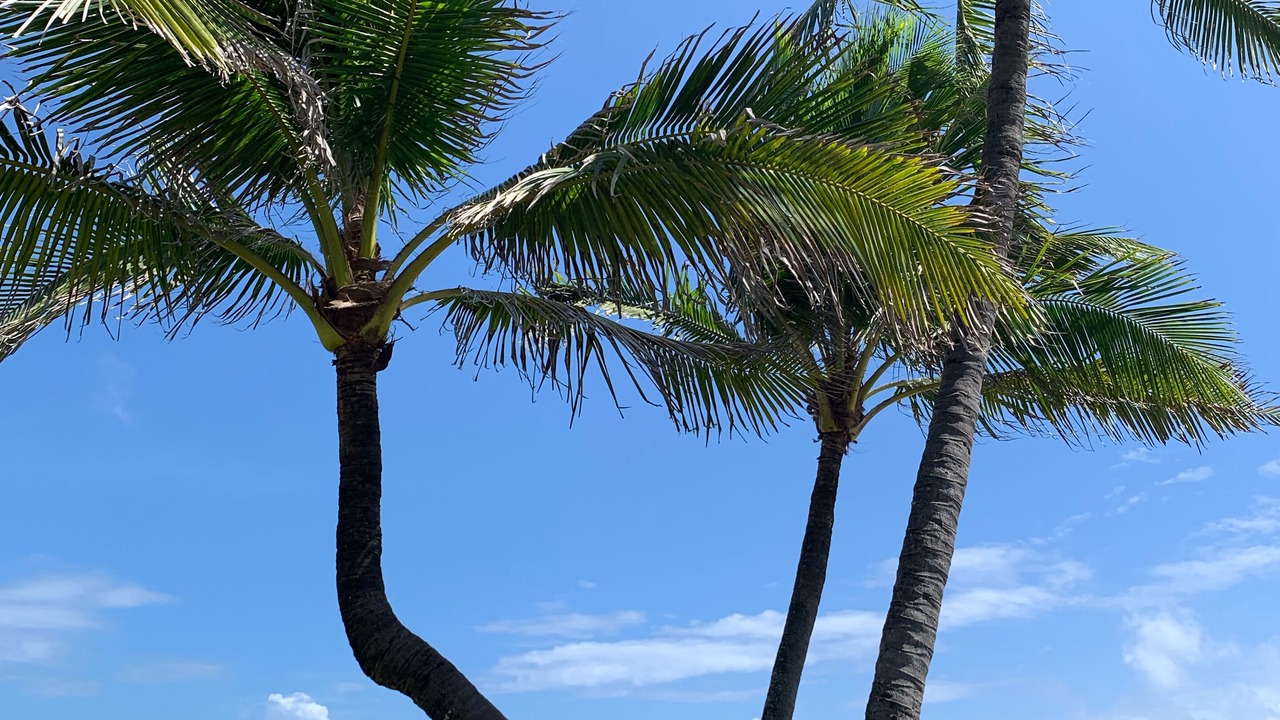 Photo of Outdoor in Jupiter