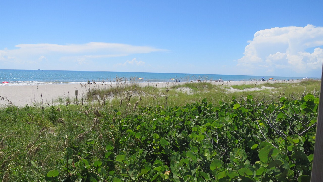 Photo of Others in Port Canaveral