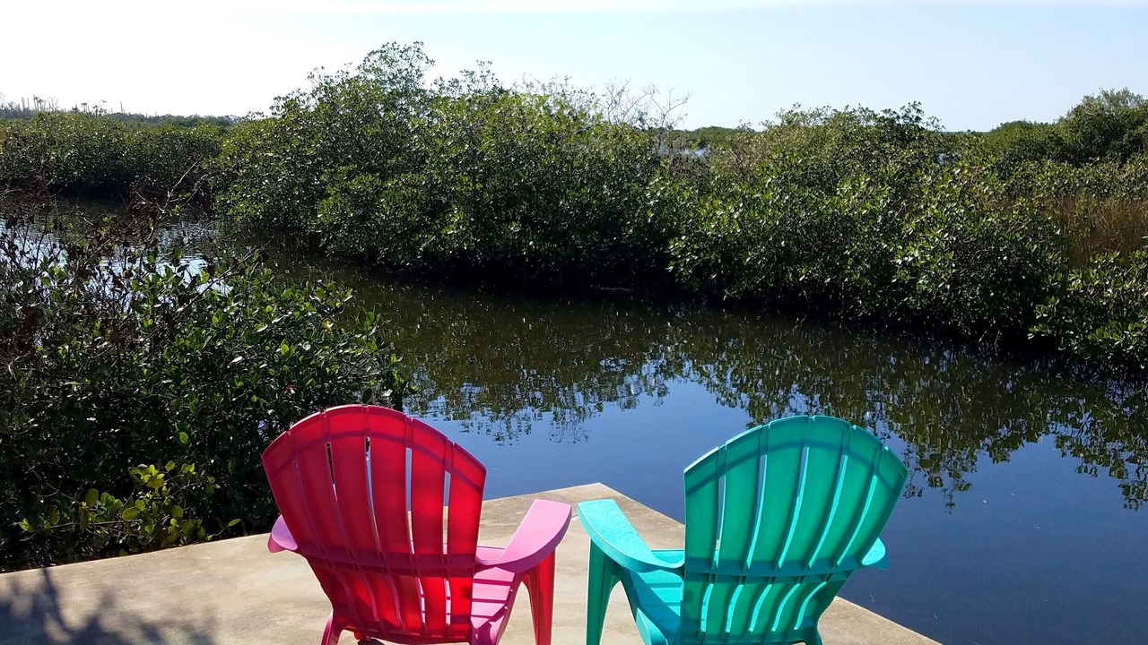 Photo of Outdoor in Aripeka