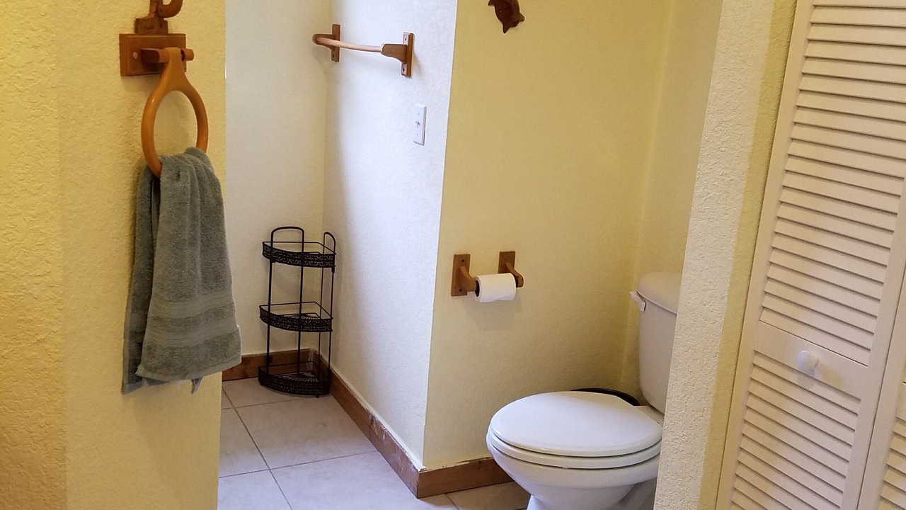 Photo of Bathroom in Aripeka