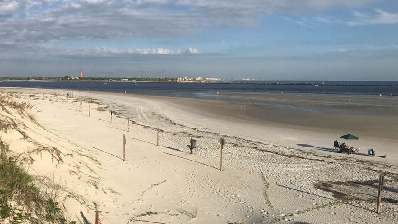 Photo of Others in New Smyrna Beach