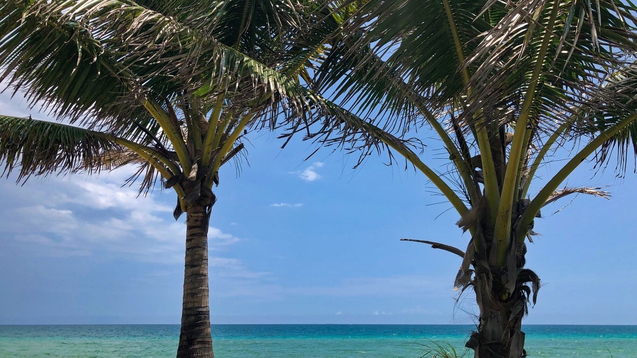 Photo of Others in Dania Beach