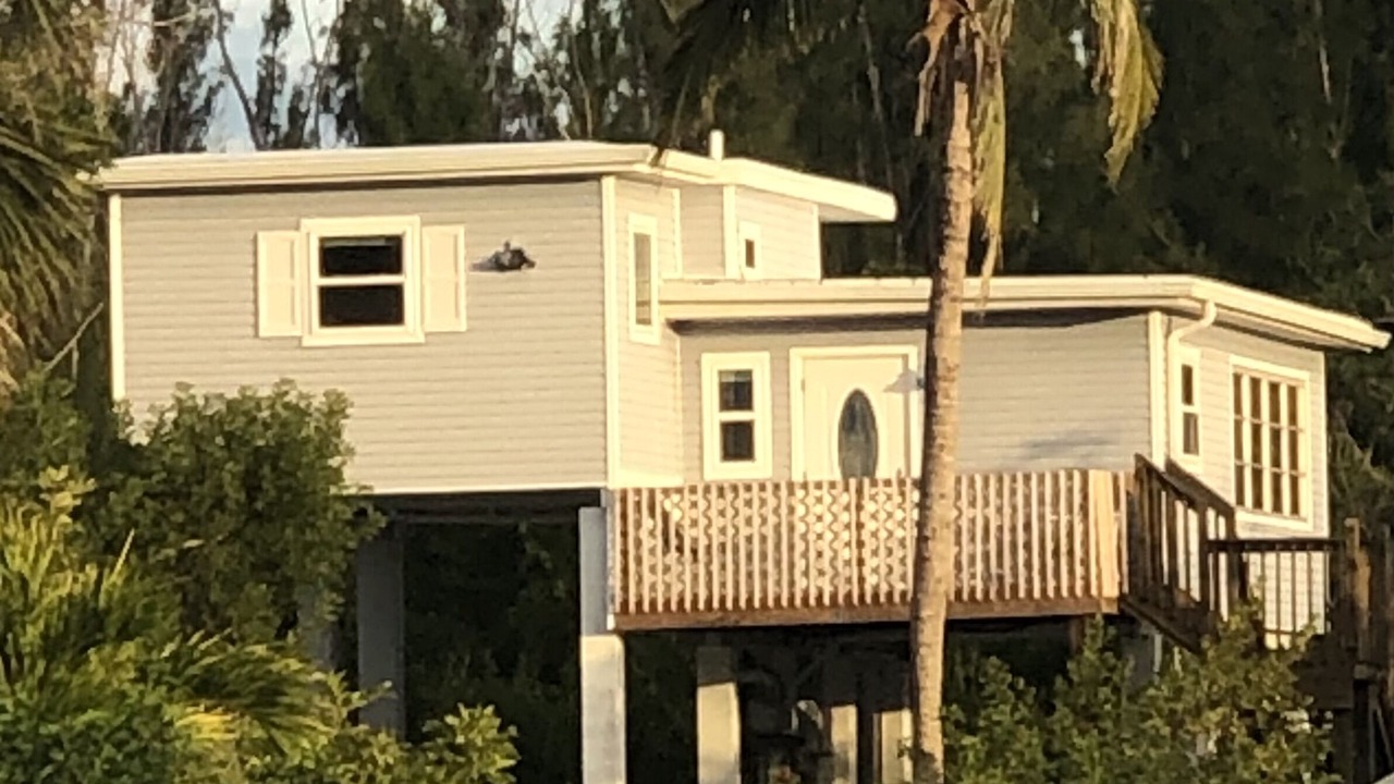Photo of Others in Saint James City