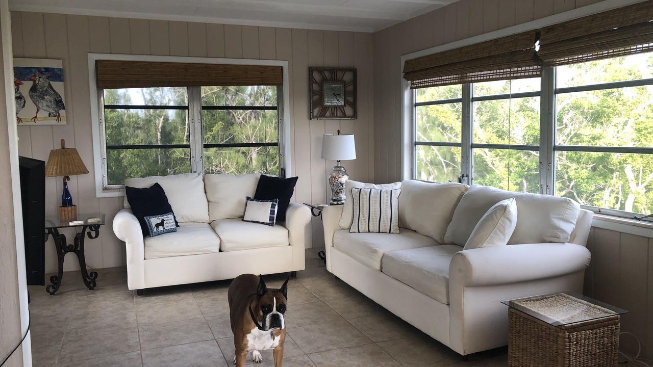 Photo of Livingroom in Saint James City