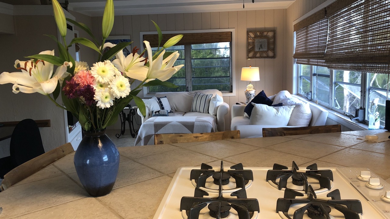 Photo of Bedroom in Saint James City