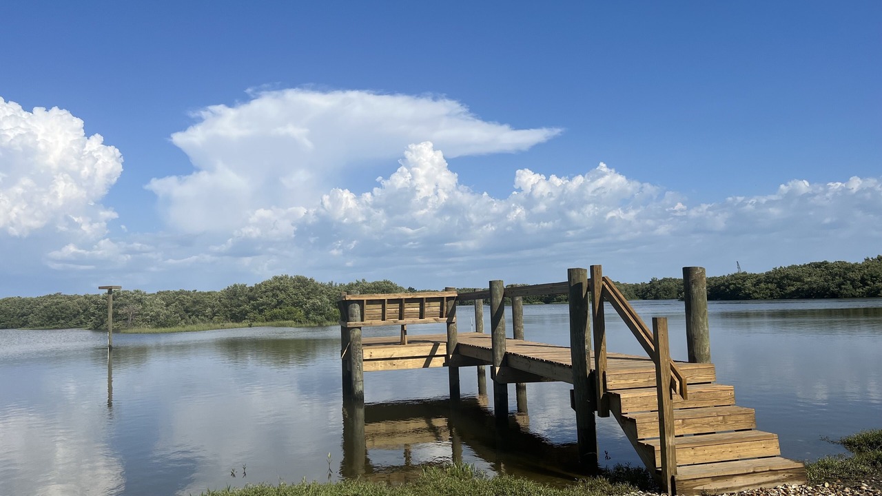 Photo of Others in Cedar Key