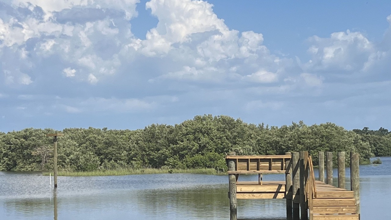 Photo of Others in Cedar Key