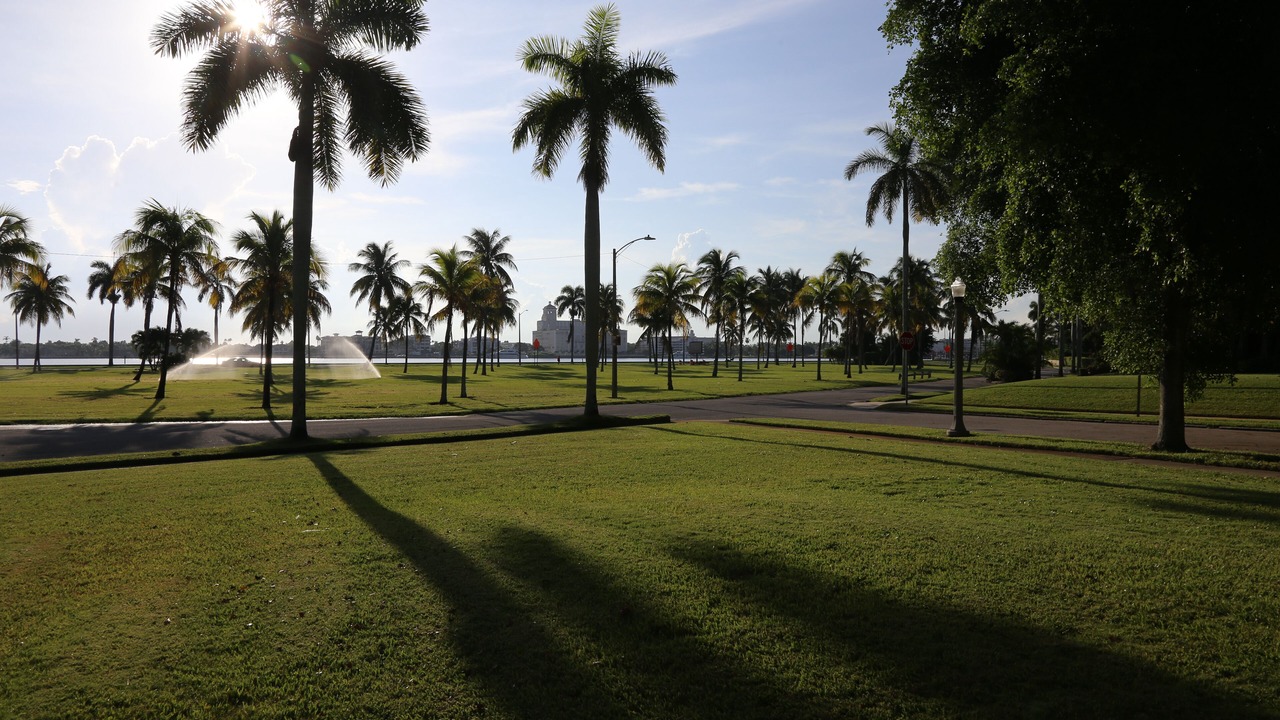 Photo of Others in Providencia Park