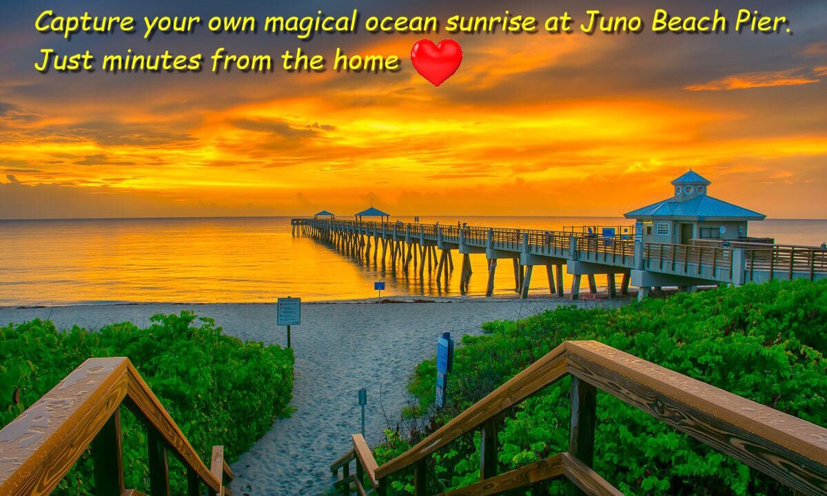 Photo of Others in Florida North Atlantic Coast